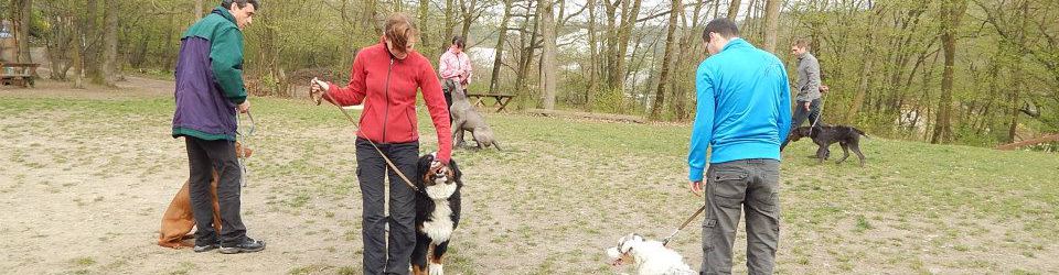 10172807_677895325605222_888395899_n