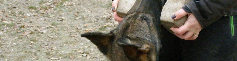 1479490_617221375005951_1789581765_n